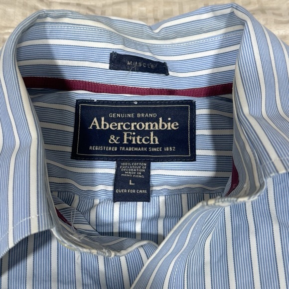 Abercrombie And Fitch Mens Blue Striped Long Sleeve Button Down Shirt Size L - Picture 3 of 11